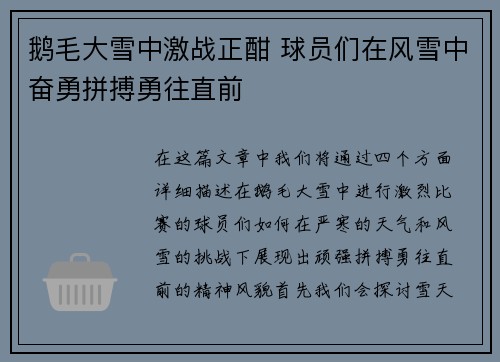 鹅毛大雪中激战正酣 球员们在风雪中奋勇拼搏勇往直前