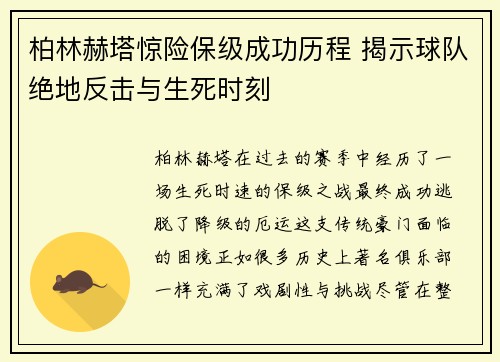 柏林赫塔惊险保级成功历程 揭示球队绝地反击与生死时刻